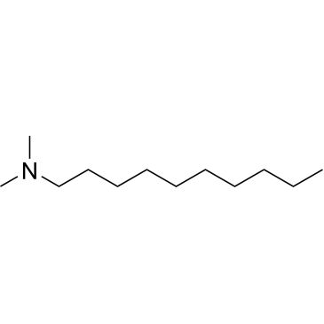 CS-0335339