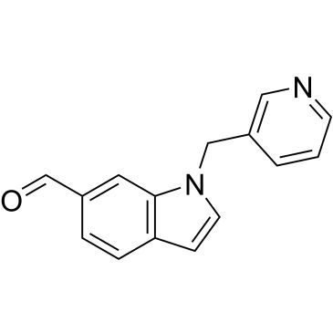 CS-0335609
