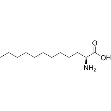 CS-0336894