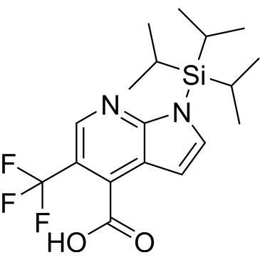 CS-0338559