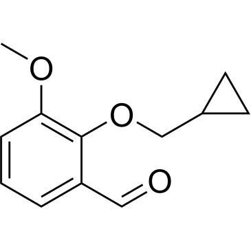 CS-0339229