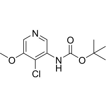 CS-0339661