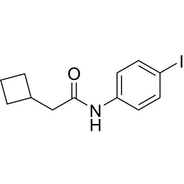 CS-0359204