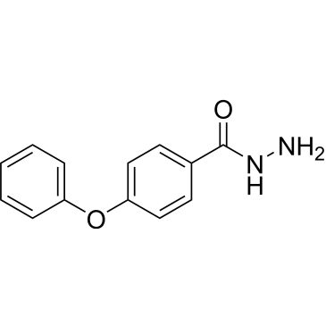 CS-0360495