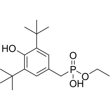 CS-0361623