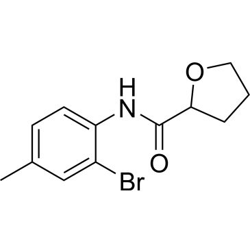 CS-0362073