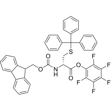 CS-0362591