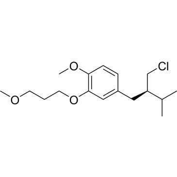 CS-0363165