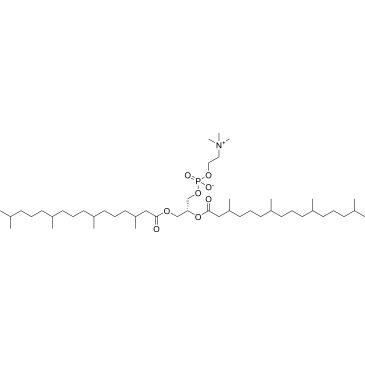 CS-0372211