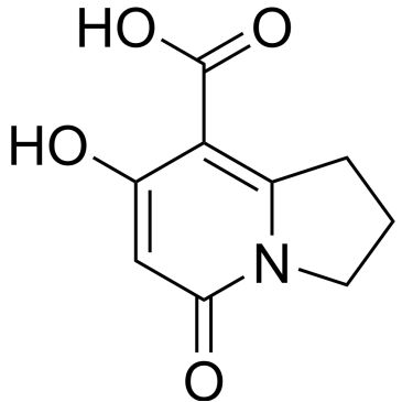 Img