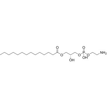 CS-0375897