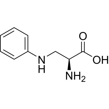 CS-0379707