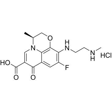 CS-0379878