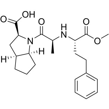 CS-0379903