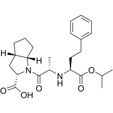 CS-0379905