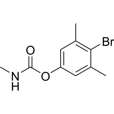 CS-0438854