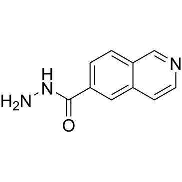 CS-0439772