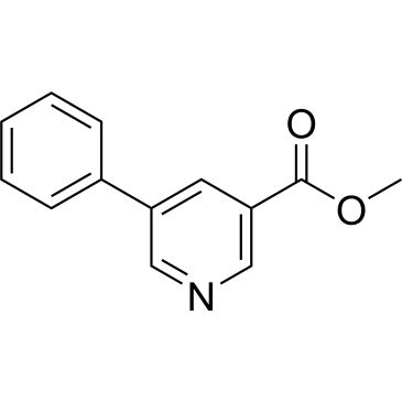 CS-0439939