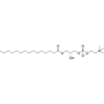 CS-0440884