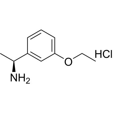 CS-0442509