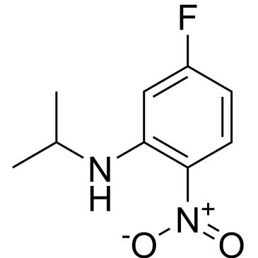 CS-0444608