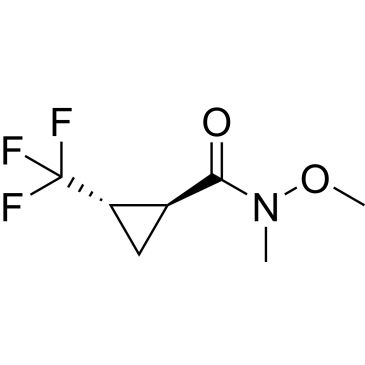 CS-0445364