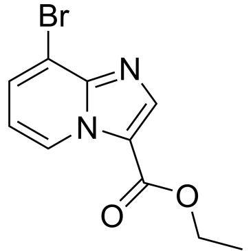 CS-0445897
