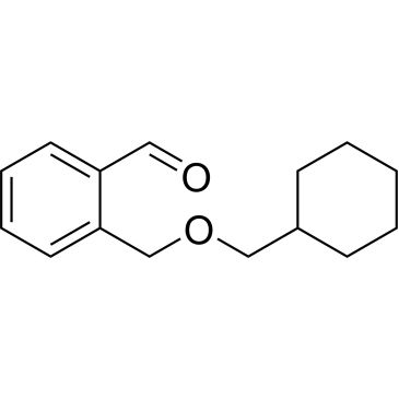 CS-0446677