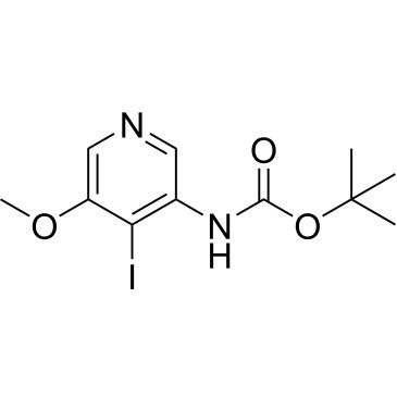 CS-0447446