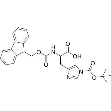 CS-0447559