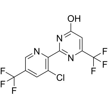 CS-0447603