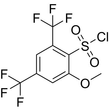 CS-0448166