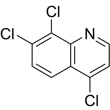 CS-0449029