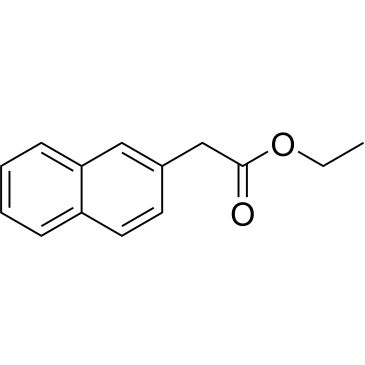 CS-0450621