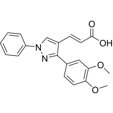 CS-0451921