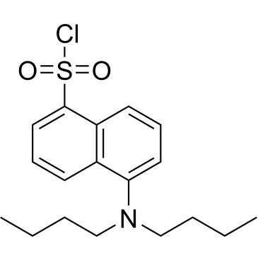 CS-0452461
