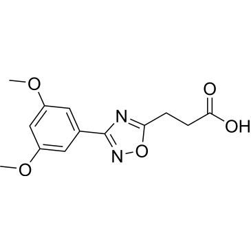 CS-0453021