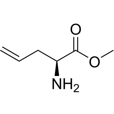 CS-0453032