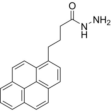 CS-0453579