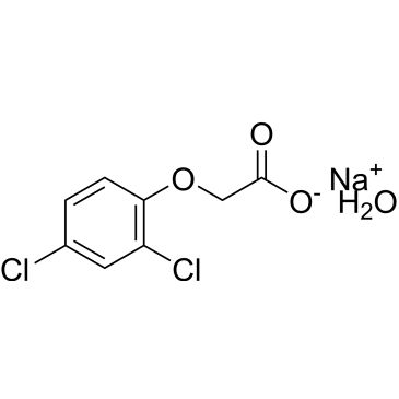 CS-0455051
