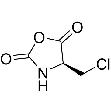 CS-0458395