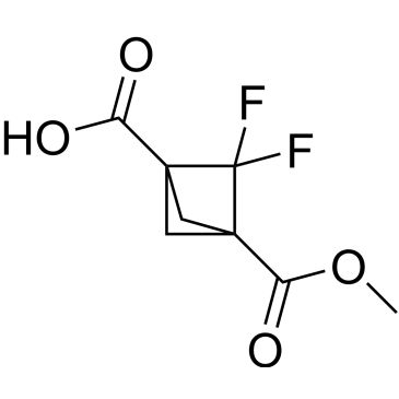 CS-0459675
