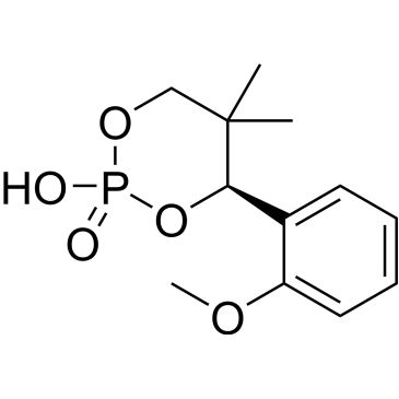 CS-0462796