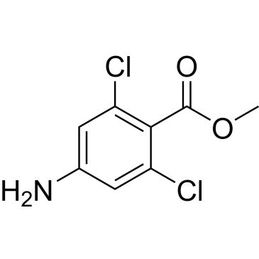 CS-0464863
