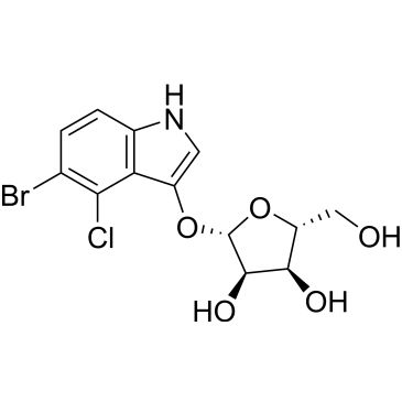 CS-0465730