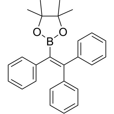CS-0468706