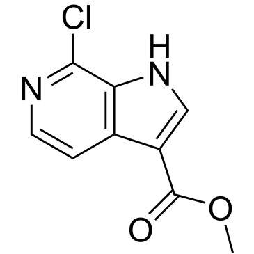 Img