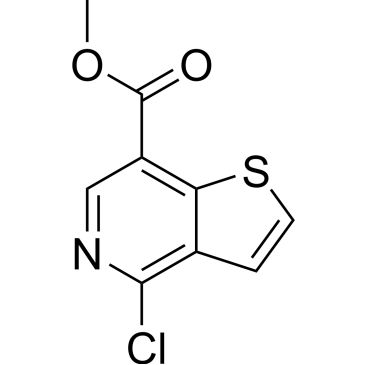 Img