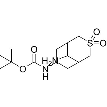 CS-0480212