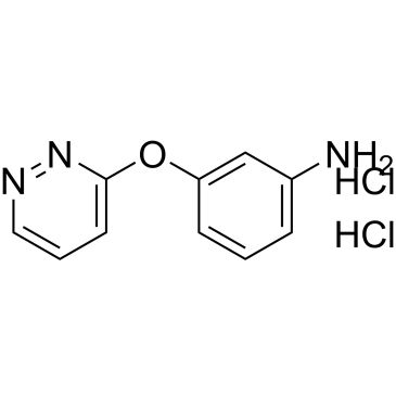 CS-0484719